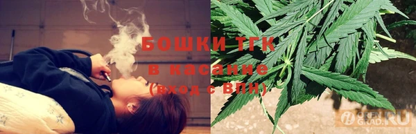 PSILOCYBIN Алзамай