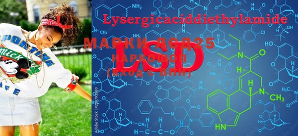 PSILOCYBIN Алзамай